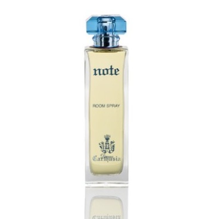 Carthusia Domus Note Orange Spray für Zimmer 100ml