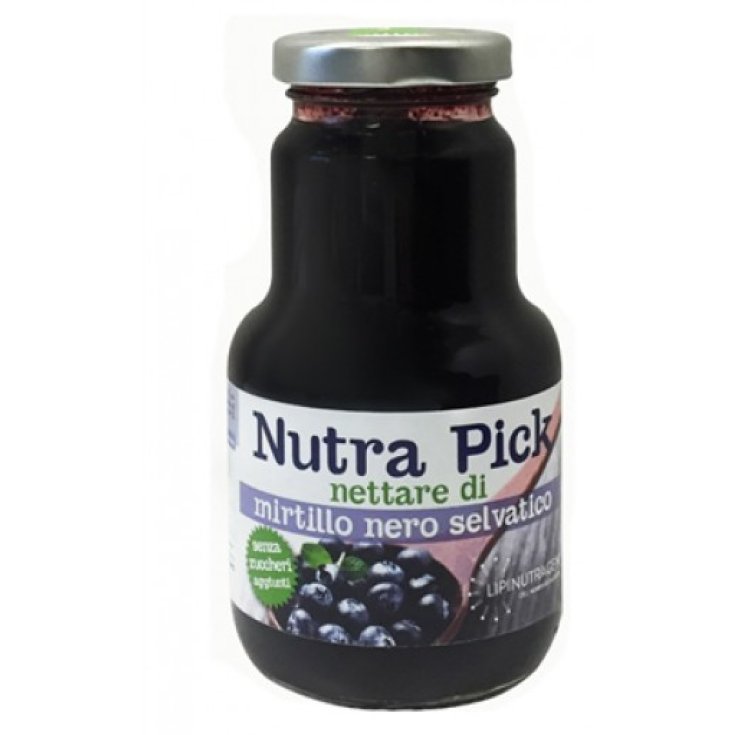 Nutra Pick Wilder Heidelbeernektar Lipinutragen 200ml