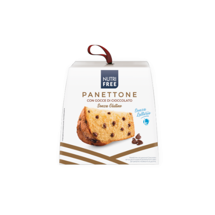 Panettone mit Nutrifree Chocolate Drops 600g