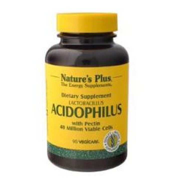 Acidophilus 90 Kapseln