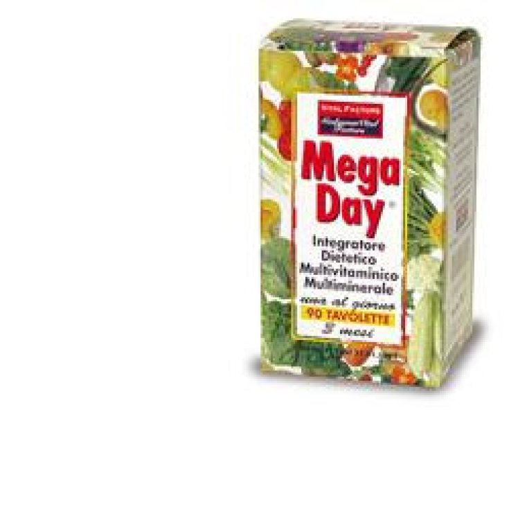 Vital Factors Mega Day Nahrungsergänzungsmittel Multivitamin Multimineral 90 Tabletten