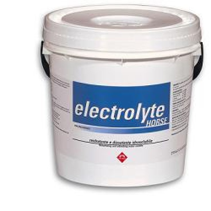 Electrolyte Horse Rehydrierungspulver wasserlöslich für Pferde 3kg