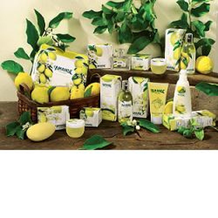 L'amande Fior Di Limone Aromatisches Duschgel