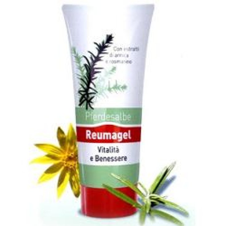 Pferdesalbe Reumagel Vital und Wellness 200ml