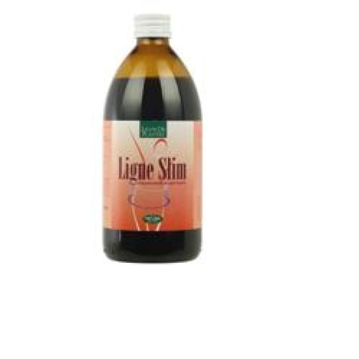 Natura Service Ligne Slim Nahrungsergänzungsmittel 500ml