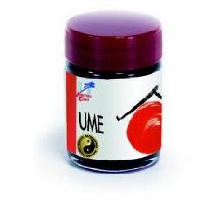 Ume 40g Konzentrat