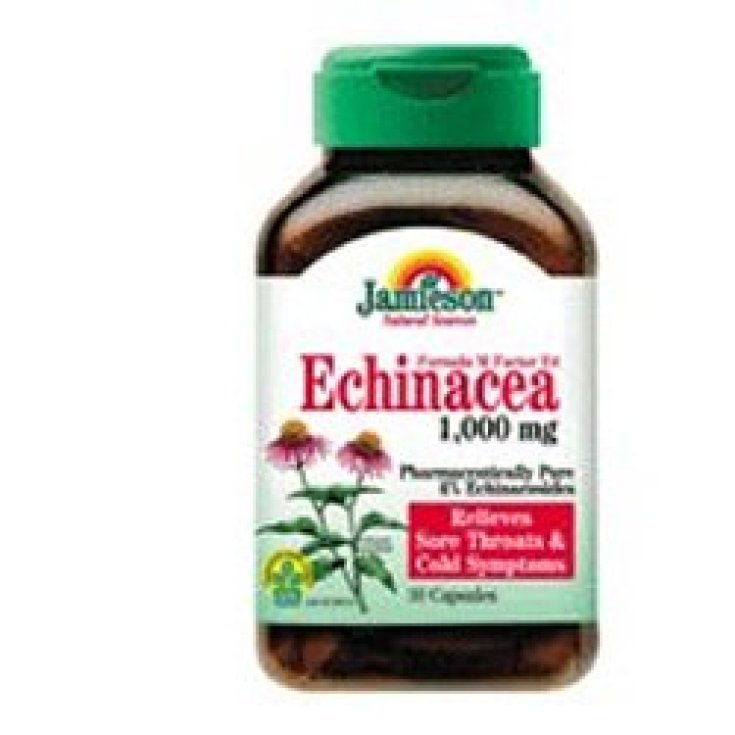 Jamieson Echinacea 1000 mg Nahrungsergänzungsmittel 30 Kapseln