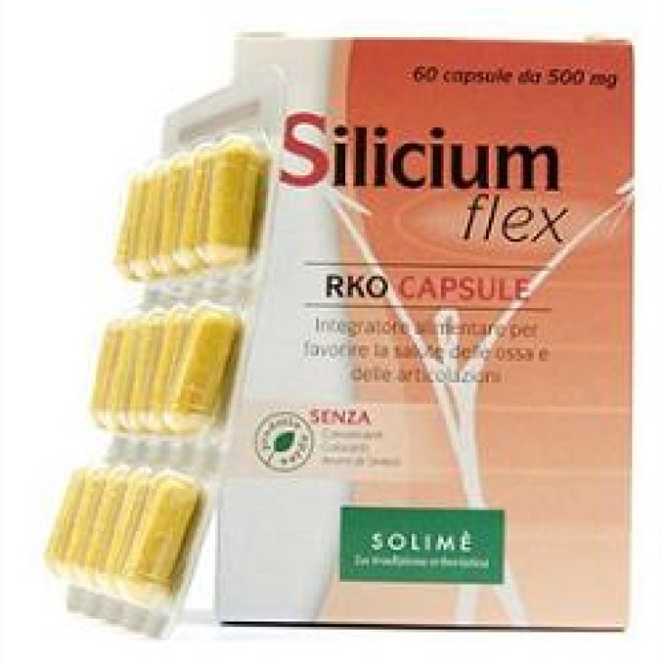 Siliziumflex Rko 60 cps 500 mg