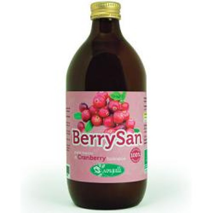 Berrysan Reiner Cranberrysaft 500ml