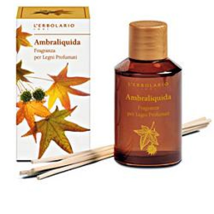 L'Erbolario Ambraliquida Duft für duftende Hölzer 125ml