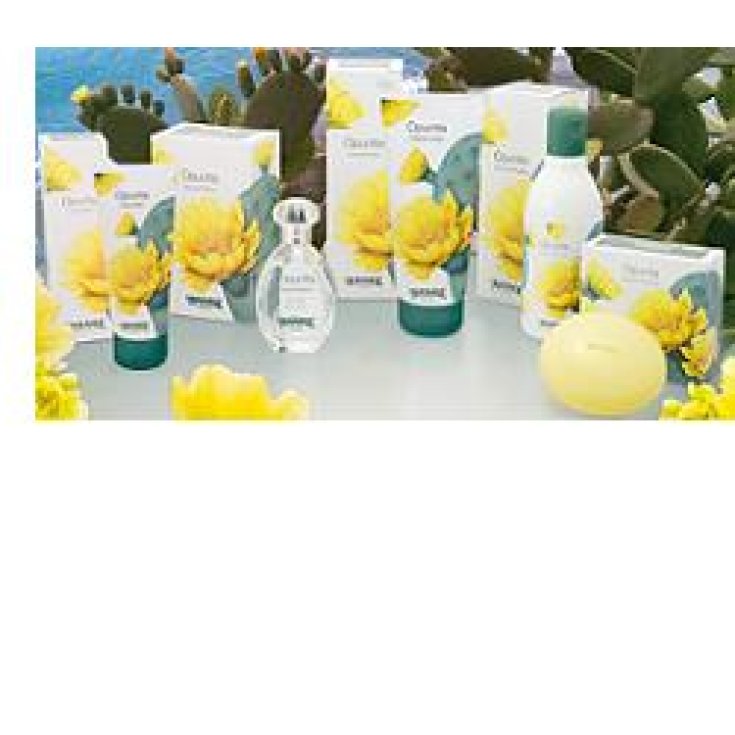 L'Amande Opuntia Körpercreme 200ml