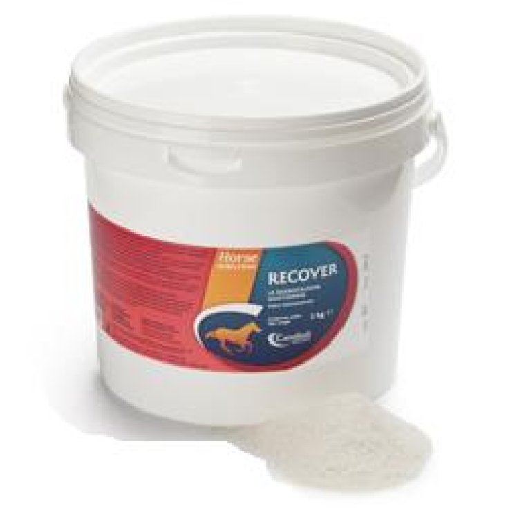 Candioli Recover Rehydrierendes Mineralfutter für Pferde 3kg