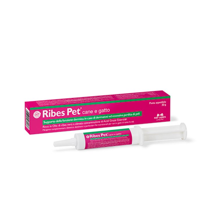 Ribes Haustier Hund und Katze NBF Lanes Schmackhafte Pasta 30g