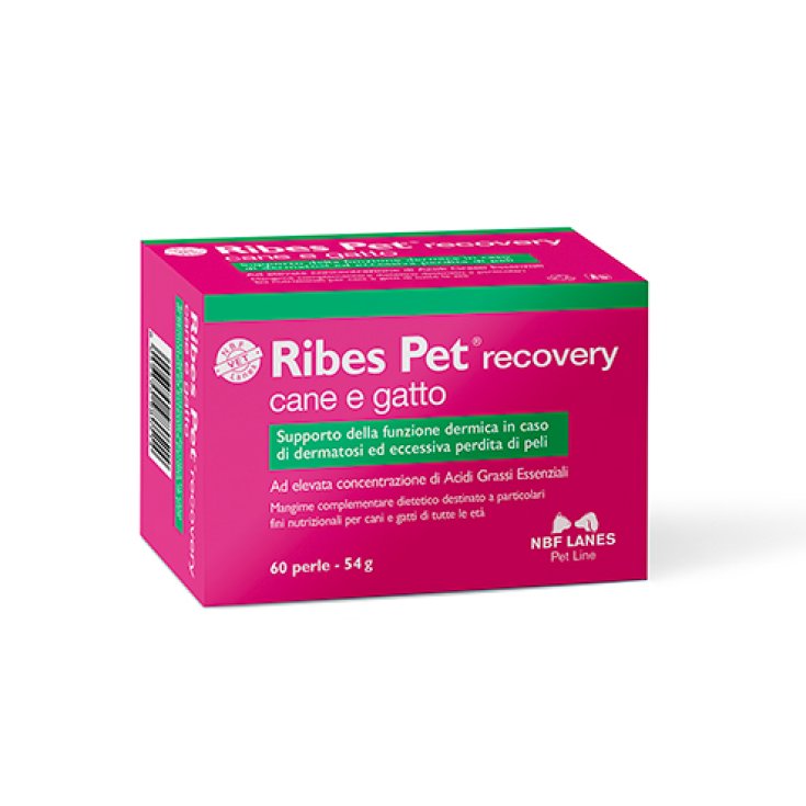 Ribes Pet Recovery Hund und Katze NBF Lanes 60 Perlen