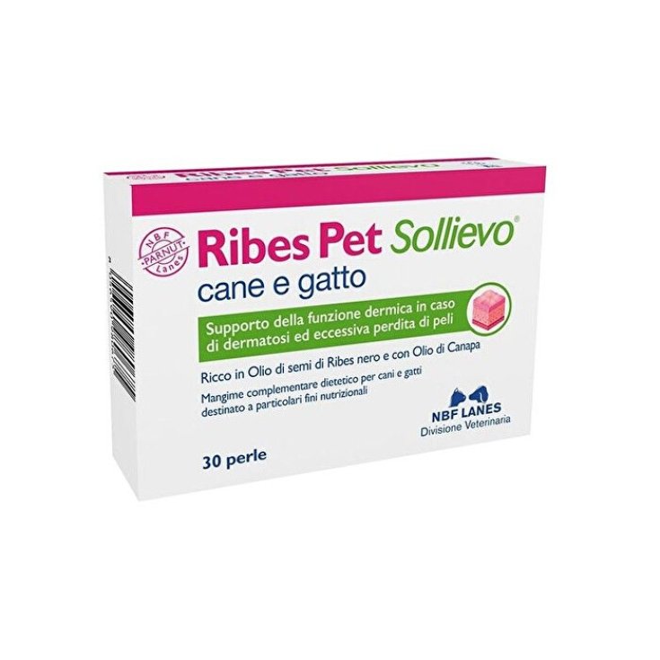 Currant Pet Relief Hund und Katze NBF Lanes 30 Perlen