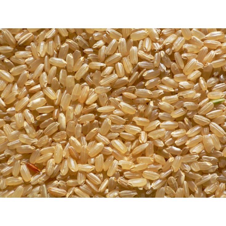 Farmagourmet Brauner Reis 1kg