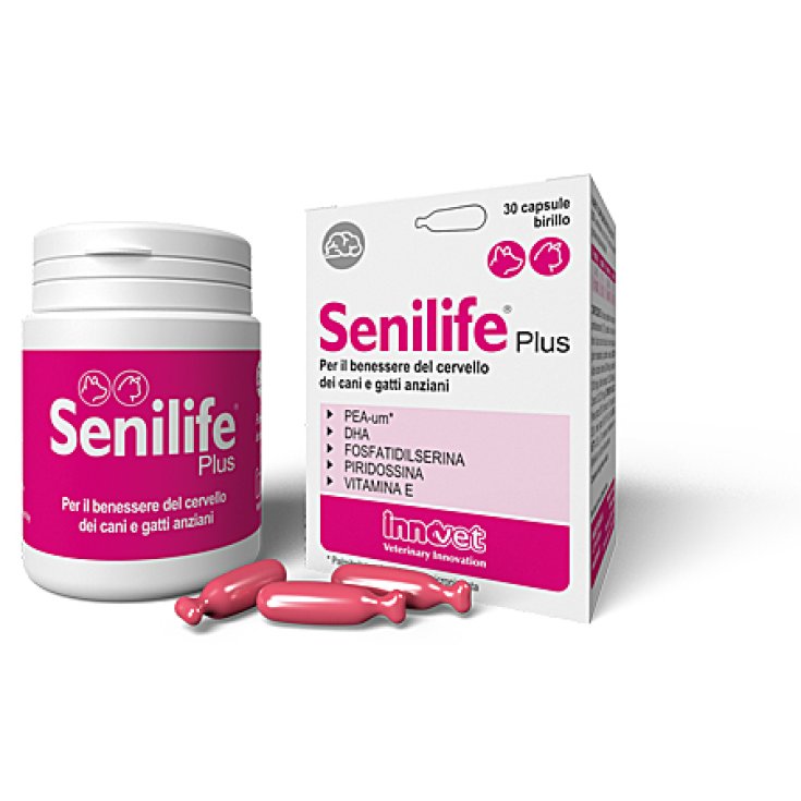 Senilife® Plus Innovet 30 Kapseln