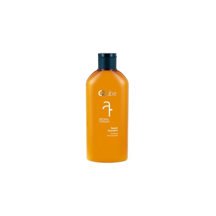 Aroma Restrukturierendes Shampoo Teraphy Gcube® 200ml