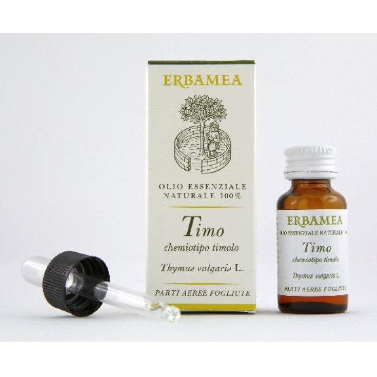 Thymian Chemotyp Thymol Erbamea 10ml