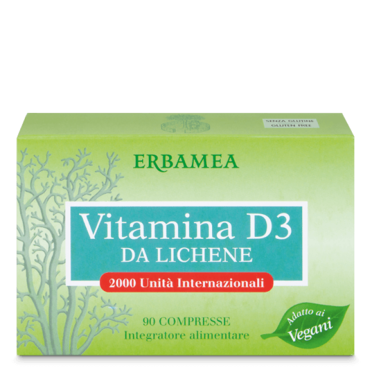 Vitamin D3 aus Lichen Erbamea 90 Tabletten