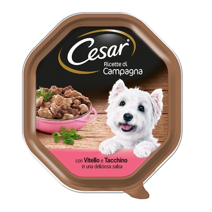 CESAR CAMP VTL/TÜRKEI-REZEPTE