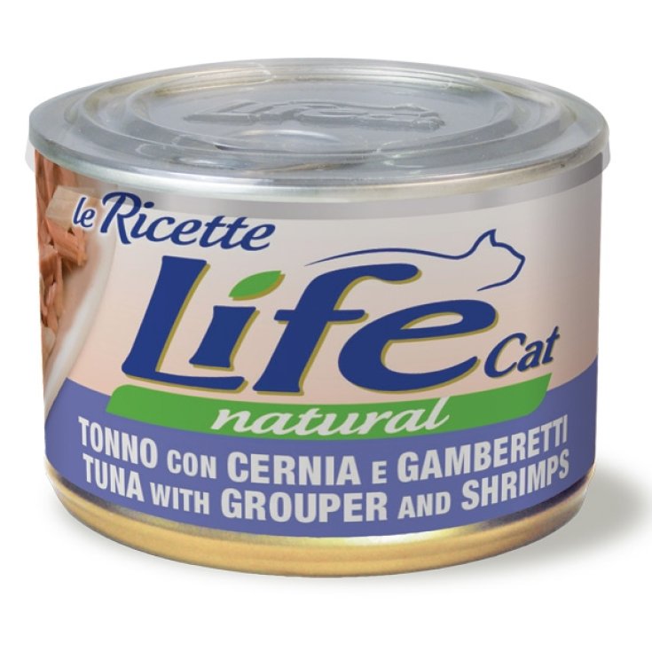 Life Cat Recipes Thunfisch mit Zackenbarsch und G