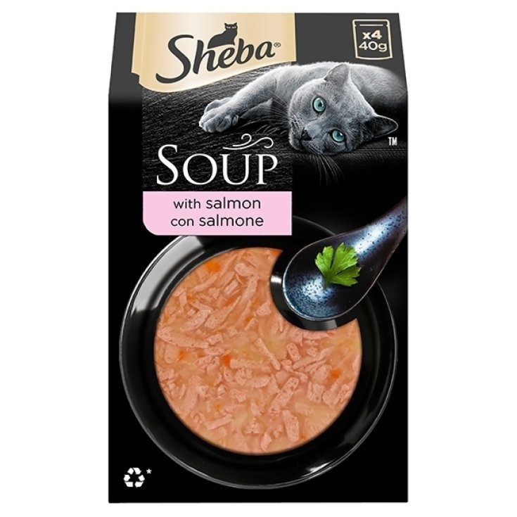 Suppe mit Lachs - 40 Gr.