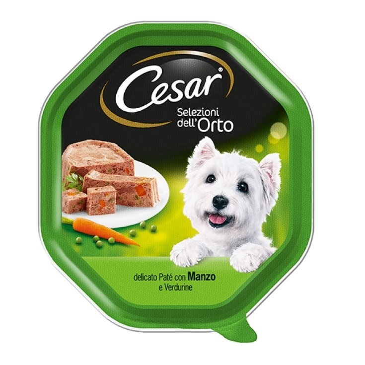 CESAR SELECTIONS ORTO MANZ/VERD