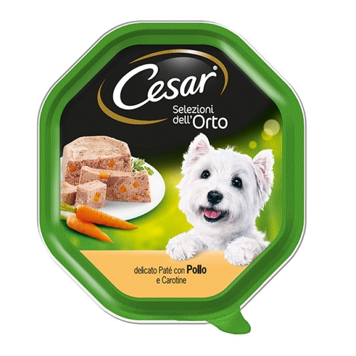 CESAR SELECTIONS ORTO CHICKEN/CAR