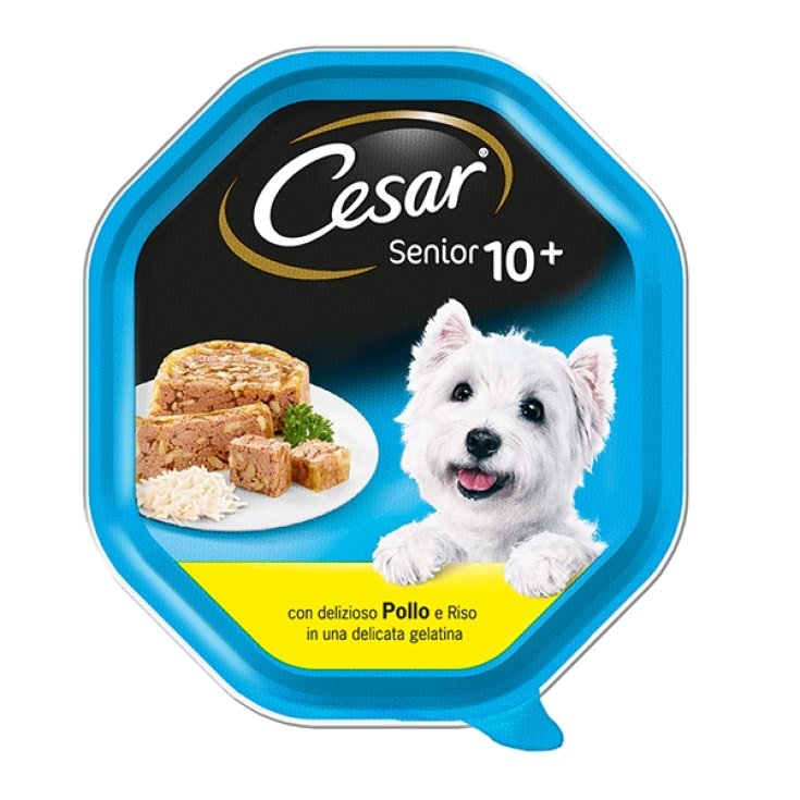 CESAR SENIOR 10+ HUHN/REIS GE