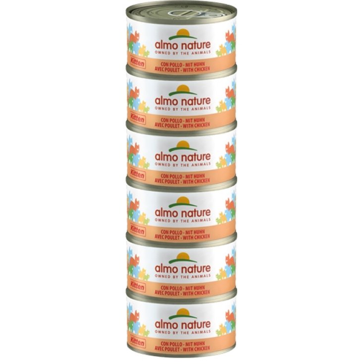 ALMO MEGA PACK KITT POL 6X70G