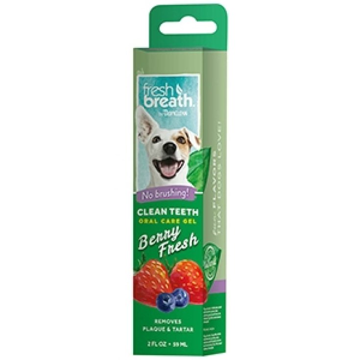 Fresh Breath Clean Teeth Mundpflegegel B