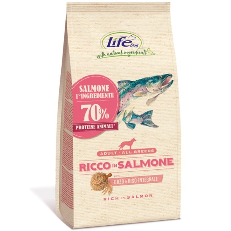 Life Dog reich an Lachs – 12 kg