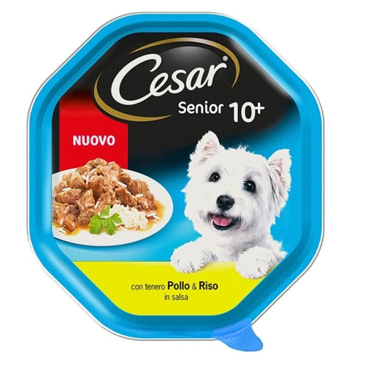 CESAR SENIOR 10+ HUHN/REIS SA