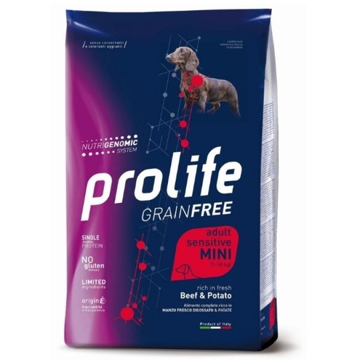 PROLIFE DOG GF AD BEEF&POT600G