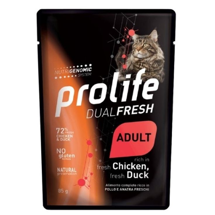 PROLIFE CAT DUAL AD KÜKEN/ENTE