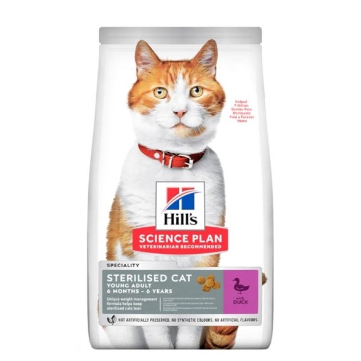 ERWACHSENE STERILISIERTE JUNGE ENTENKATZE 7 KG