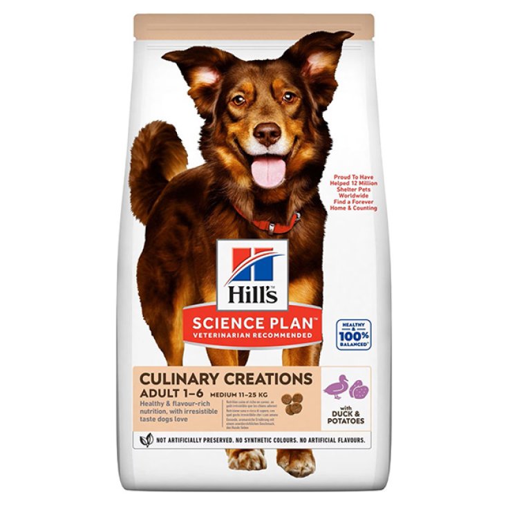 ERWACHSENE HUNDE MED ENTE & KARTOFFELN 12 KG