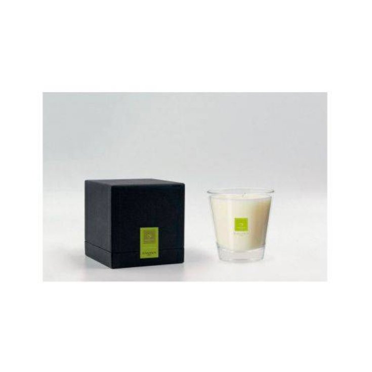 Black Zagara Duftkerze Home Beauty Idea 1 Stück