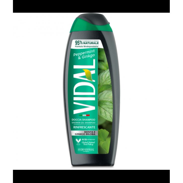 VIDAL NEW D/S MINT & GINKGO 250ML