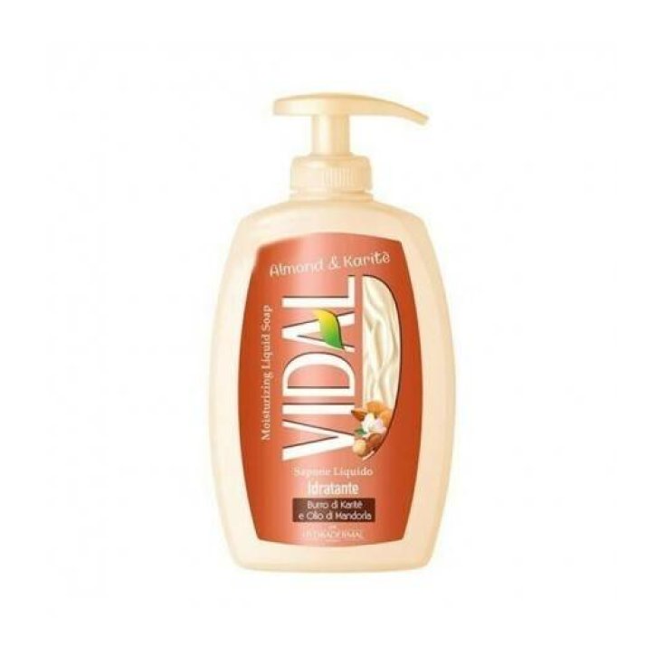VIDAL SAP LIQ MANDELKARITE 300 ML