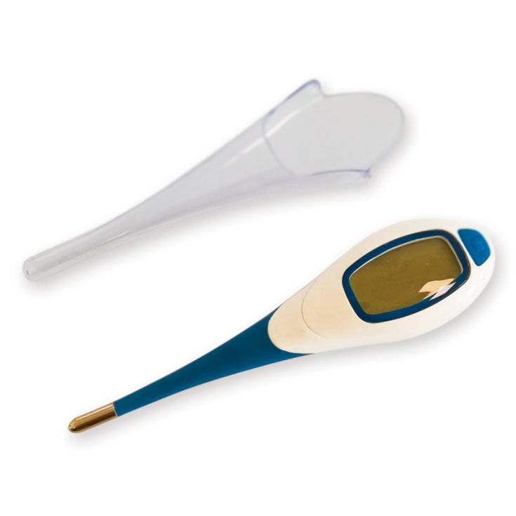 BL3 DIGITALES THERMOMETER