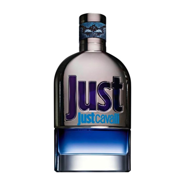 PFERDE NUR IHN NEU EDT 90 VAPO