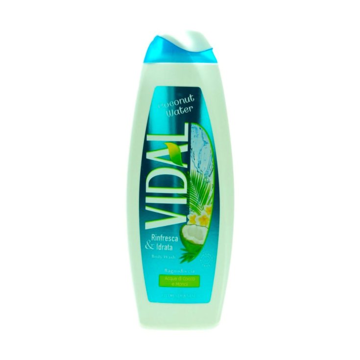 VIDAL B / S KOKOSWASSER 500 ML