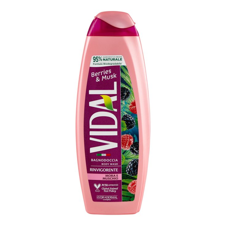 VIDAL NEU B/D BROMBEERE & MOOS 500ML