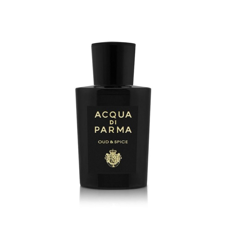 ADP SIGNATURE OUD&SPICE U EDP 100V