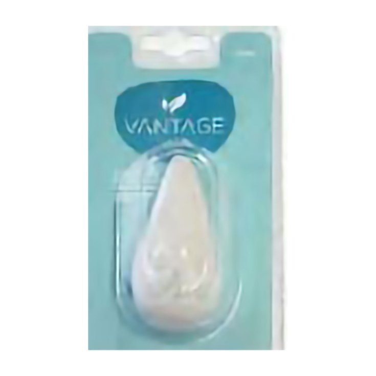 VANTAGE GM066 BIMSTEIN AUT