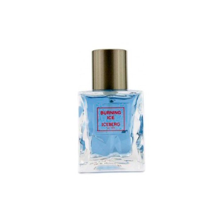 * ICEBERG BRENNENDES EIS U EDT 50 VAPO