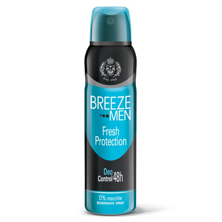 BREEZE DEO SPRAY HERREN 48H F / PROT 15