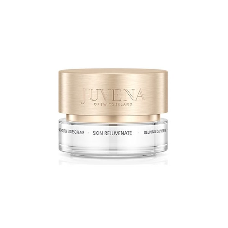 Rejuvenate and Correct Delining Day Cream 50ml